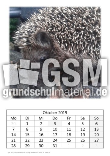 Oktober_Igel.pdf